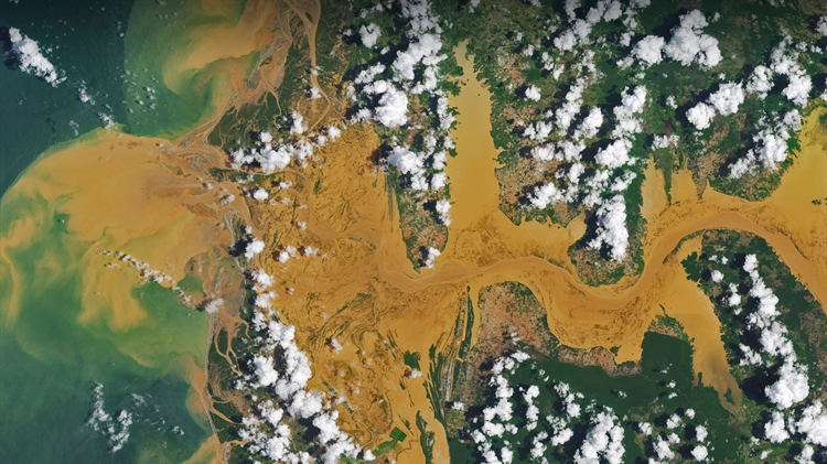 马尼亚河的卫星图像，马达加斯加 