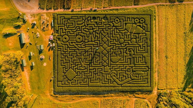 塞勒斯堡的玉米迷宫，宾夕法尼亚州，美国 