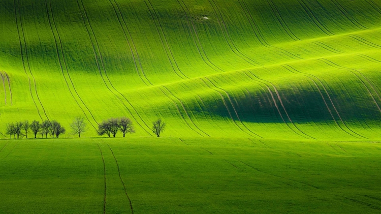 捷克共和国  ，基约夫附近的南摩拉维亚风景