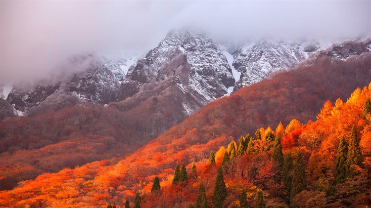 日本神奈川县 ，大山